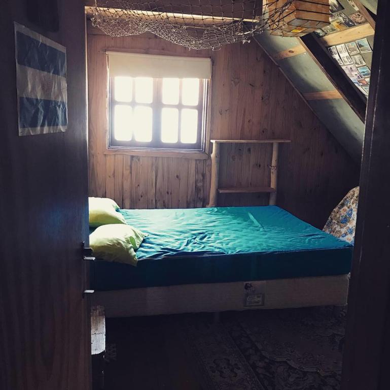 el refugio de caniche